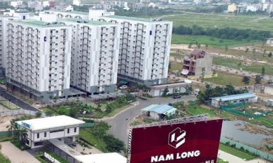 Vợ chồng chủ tịch Nam Long sẽ mua 7 triệu cổ phiếu NLG trong đợt phát hành riêng lẻ