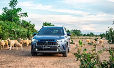 Toyota Việt Nam sắp tăng giá bán hàng loạt xe, cao nhất 40 triệu đồng