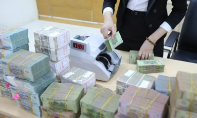 Khánh Hoà: Công ty cổ phần JK Fish bị phạt và truy thuế gần 690 triệu đồng
