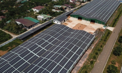 Lâm Đồng: Dừng mua điện, bắt buộc tháo gỡ các hệ thống điện mặt trời không đúng quy định