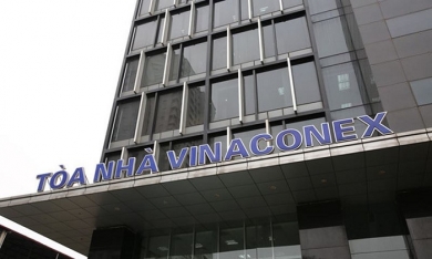 Vinaconex thoái vốn tại hàng loạt công ty con
