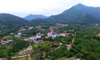 Chủ tịch Hà Nội: Không để tồn tại 27 công trình vi phạm mới ở rừng Sóc Sơn