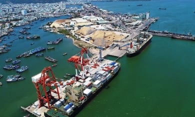 Bình Định yêu cầu giải quyết dứt điểm thu hồi đất Vosa để mở rộng cảng Quy Nhơn