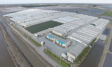 Tập đoàn Việt - Úc đem 800 tỷ ‘bắc tiến’, đầu tư dự án thủy sản 170ha tại Quảng Ninh