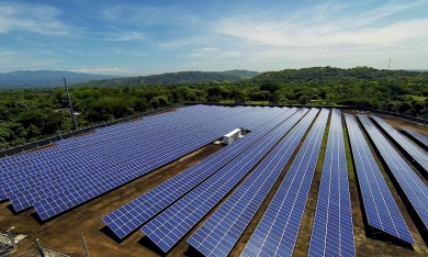 Quảng Bình chuyển đổi 75ha đất rừng cho Dohwa làm nhà máy điện mặt trời 55 triệu USD