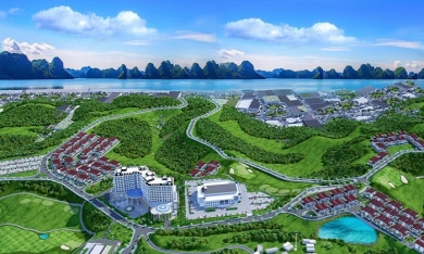 Quảng Ninh: Liên danh Vingroup và Vinhomes đủ năng lực làm siêu dự án Hạ Long Xanh 10 tỷ USD