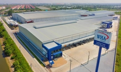 Tập đoàn WHA của Thái Lan xin làm 2 khu công nghiệp hơn 1.300ha ở Thanh Hóa