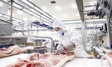 Tập đoàn AVG của Nga đầu tư khu chế biến thịt lợn 1,4 tỷ USD tại Thanh Hóa