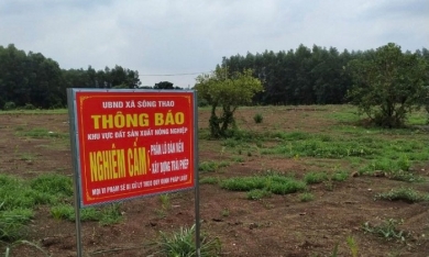 Bà Rịa-Vũng Tàu vào cuộc kiểm tra tình trạng rao bán đất nông nghiệp phân lô