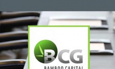 Bamboo Capital rót 320 tỷ đồng lập thêm công ty tài chính