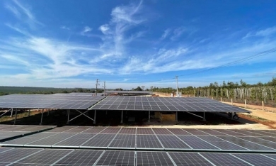 Hơn 40 doanh nghiệp điện mặt trời ở Gia Lai lo phá sản, không trả được nợ