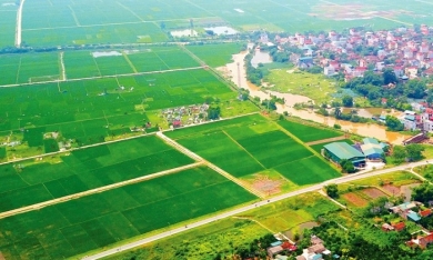 Bộ Tư pháp chỉ rõ: 'Quy định đấu giá đất nông nghiệp của Hà Nội là trái pháp luật'