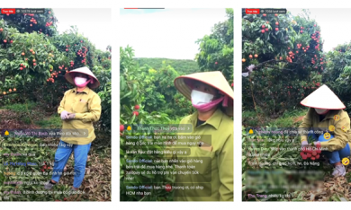 Nông dân Bắc Giang bán 8 tấn vải thiều trong 40 phút 'livestream'