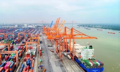 Tân Cảng Sài Gòn đầu tư 12.800 tỷ làm bến số 7, 8 cảng Lạch Huyện