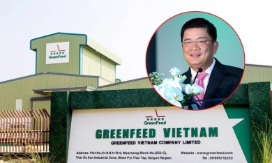 Nợ gần 5.500 tỷ, hé mở về nhóm cổ đông Trung Quốc đứng sau GreenFeed Việt Nam