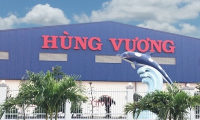 HVG: Thaco bán ra, lãnh đạo Hùng Vương mua vào
