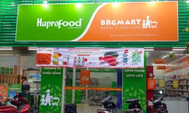 Hapro: Chứng khoán Asean muốn trở thành cổ đông lớn, đăng ký mua gần 9,7 triệu cổ phiếu