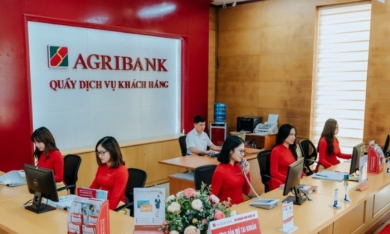 Agribank hạ giá khoản nợ hơn trăm tỷ đồng của một công ty nông sản