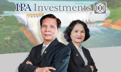 Tập đoàn Đầu tư I.P.A lần đầu báo lỗ, trích lập dự phòng 224 tỷ đồng đối với cổ phiếu CRE