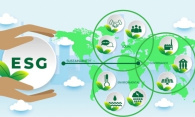 ESG – Xu hướng thế giới và sự nhận diện của nhà đầu tư Việt