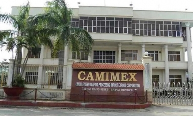 CMX bị phạt vì vi phạm công bố thông tin, giao dịch 'chui' cổ phiếu