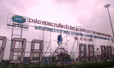 Tin mới bão số 12: Đà Nẵng khắc phục hậu quả, đón APEC