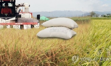 Hàn Quốc viện trợ 50.000 tấn gạo cho các nước nghèo