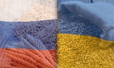 Nga bỏ thỏa thuận ngũ cốc, an ninh lương thực thế giới bị đe dọa