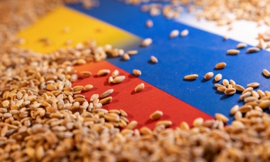 Điện Kremlin: Nga có thể cung cấp ngũ cốc thay Ukraine