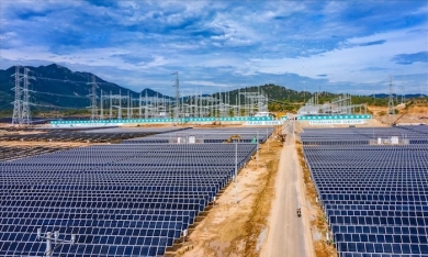 Dự án 450 MW điện mặt trời Trung Nam: 'Dừng huy động là đúng quy định'