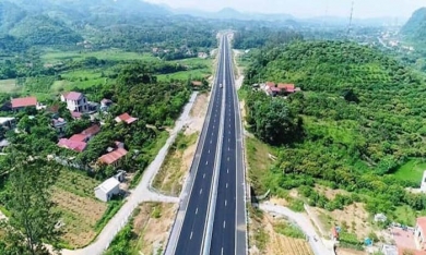 Chuyển đổi gần 200 ha rừng để mở Cao tốc Khánh Hòa – Buôn Ma Thuột