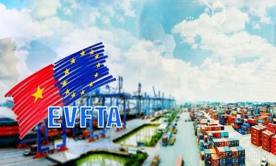 Nhóm cổ phiếu nào được hưởng lợi từ EVFTA?