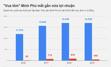 'Vua tôm' Minh Phú 'mất' gần 400 tỷ đồng lợi nhuận
