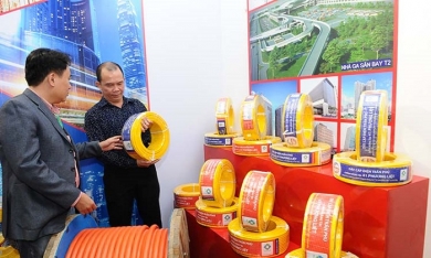 Cơ điện Trần Phú bị phạt 350 triệu vì ‘chây ì’ lên UPCoM