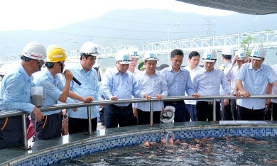 Thủ tướng yêu cầu Formosa tuyệt đối không vi phạm sự cố môi trường lần thứ hai