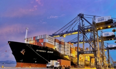 Hãng tàu vận tải container lớn nhất thế giới mở tuyến cố định đến Hạ Long