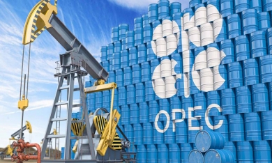 OPEC cân nhắc loại Nga khỏi các thoả thuận dầu mỏ