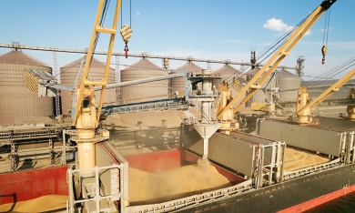 Ukraine cáo buộc Nga 'đánh cắp' hơn 4.000 tấn ngũ cốc xuất khẩu