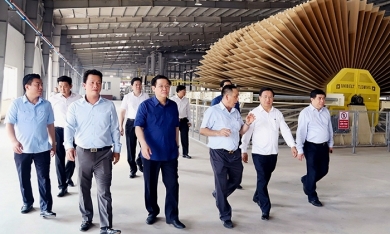 Thanh Thành Đạt khánh thành nhà máy gỗ MDF 1.440 tỷ đồng tại Hà Tĩnh
