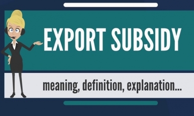 Trợ cấp xuất khẩu gì?