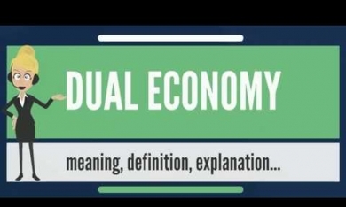 Nền kinh tế song hành là gì?
