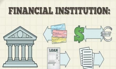 Định chế tài chính là gì? Các định chế tài chính phổ biến