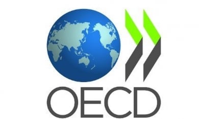 Tổ chức Hợp tác và Phát triển Kinh tế (OECD) là gì? Một số chính sách của OECD
