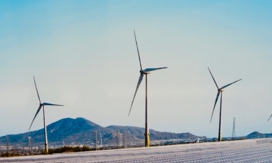 Toàn ngành thua lỗ, doanh nghiệp điện gió hiếm hoi lãi lớn trong 2022