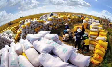 Giá gạo tăng đột biến, Bộ NN-PTNT đề xuất Thủ tướng ra chỉ thị về xuất khẩu gạo