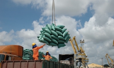 Giá gạo tăng hơn 40%: Lo đứt gãy cung ứng, VFC muốn đặt giá sàn xuất khẩu