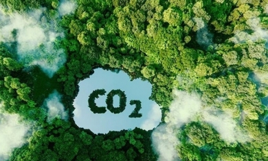 Năm 2025: Thí điểm sàn giao dịch tín chỉ carbon