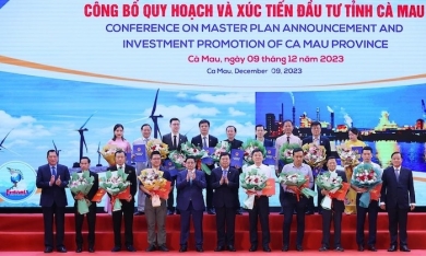 Bamboo Capital sẽ đầu tư vào điện gió, cảng biển và logistic tại Cà Mau?