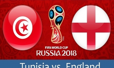 Kết quả trận Anh với Tunisia ngày 19/6 qua dự đoán của 'Thánh chồn’, ‘mèo tiên tri’