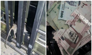 Chuột ‘đột nhập’ cây ATM, hơn 17.600 USD trở thành mớ giấy lộn